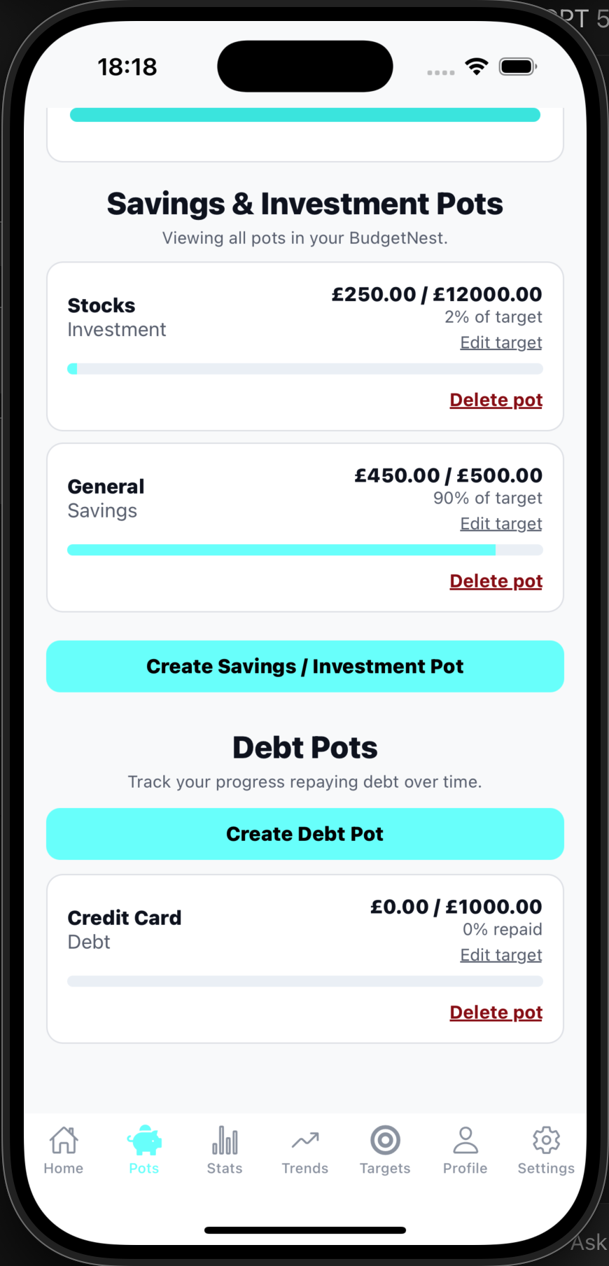 BudgetNest pots details screen