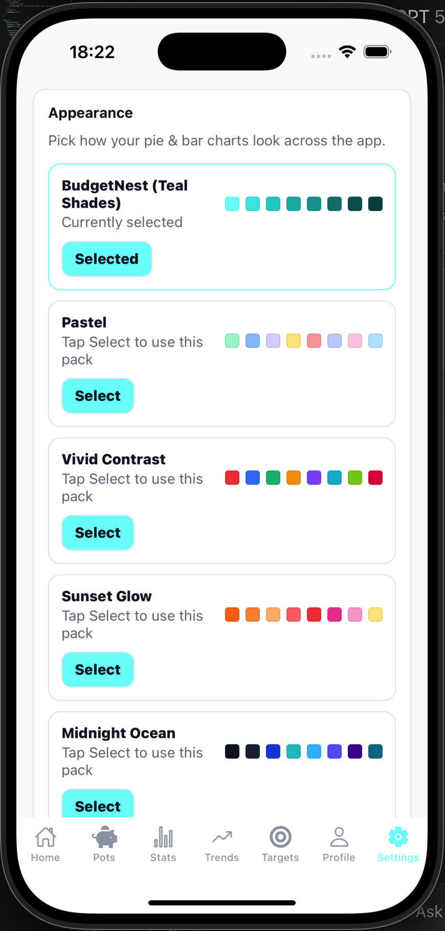 BudgetNest settings advanced screen